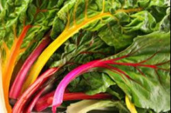 Swiss Chard ... the leaves of Summer